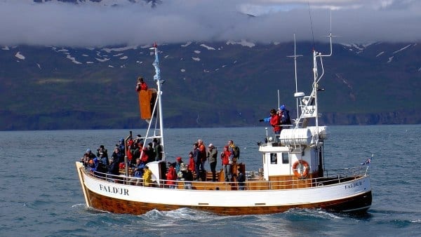 Image of a whale watching boat