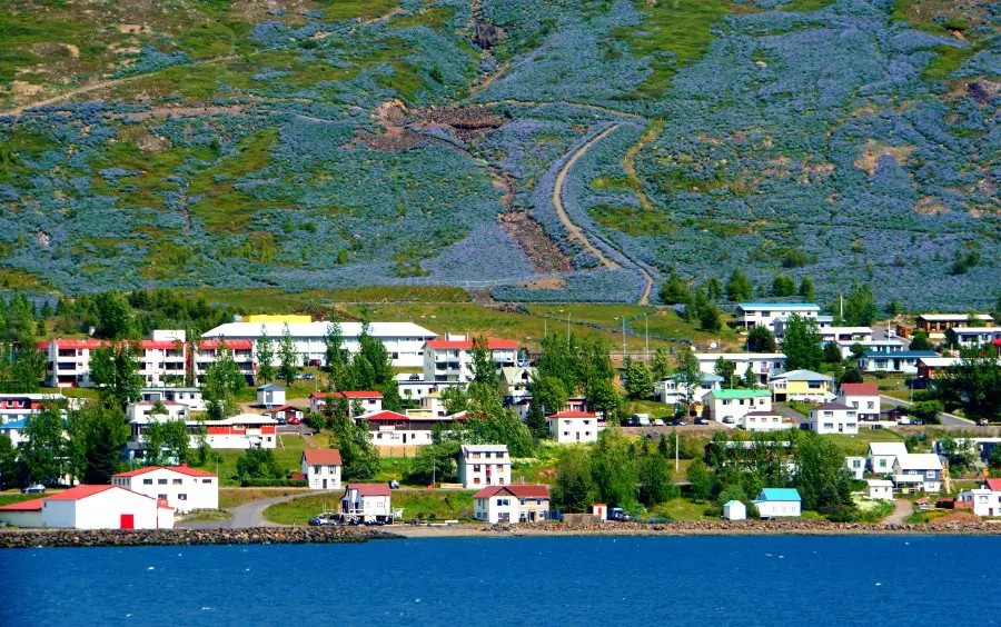 A small Icelandic town located at the foot of the mountain with many houses with colorful roofs.