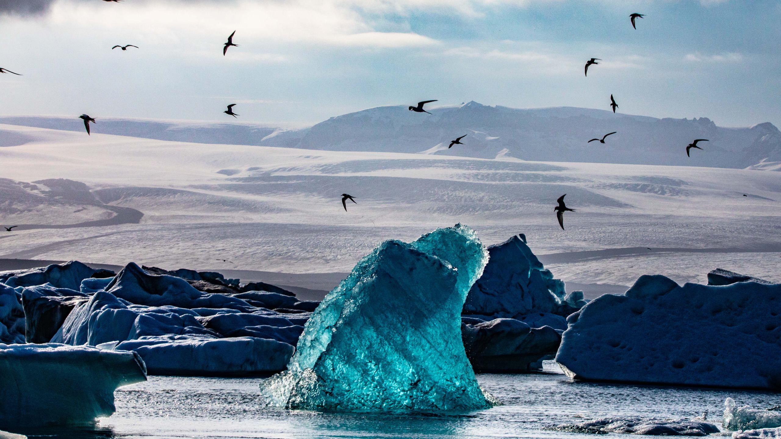 Iceberg in Iceland