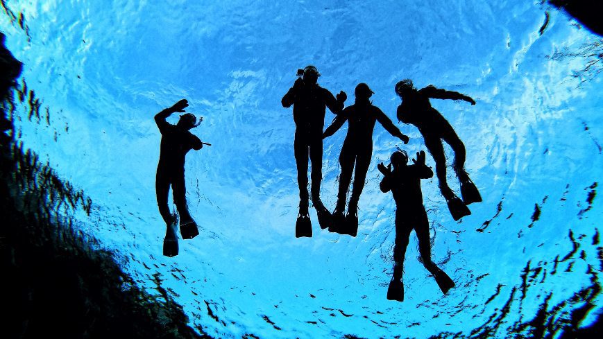 bottom view of people diving