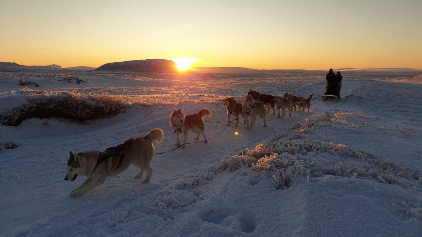 Huskies standing on the snowy road. There's a sledge with 2 people inside and the sunset.