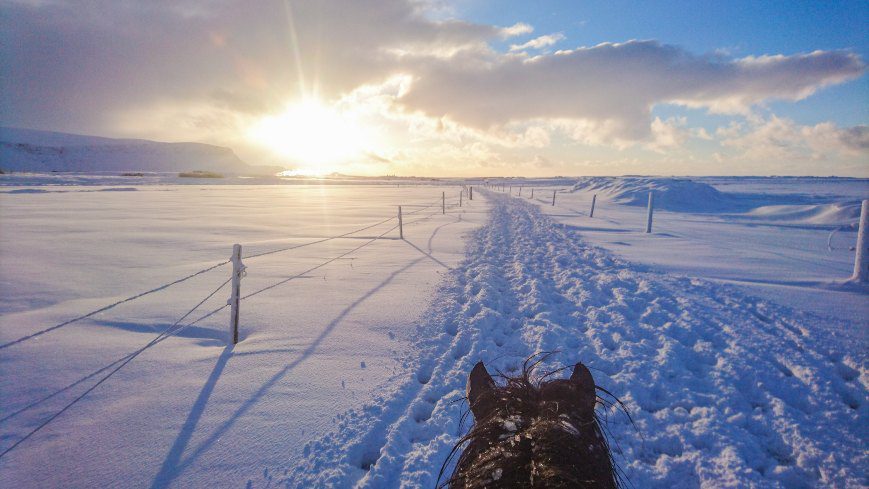 Snowy scenery with beautiful view on sunset. On the bottom there is a horse head