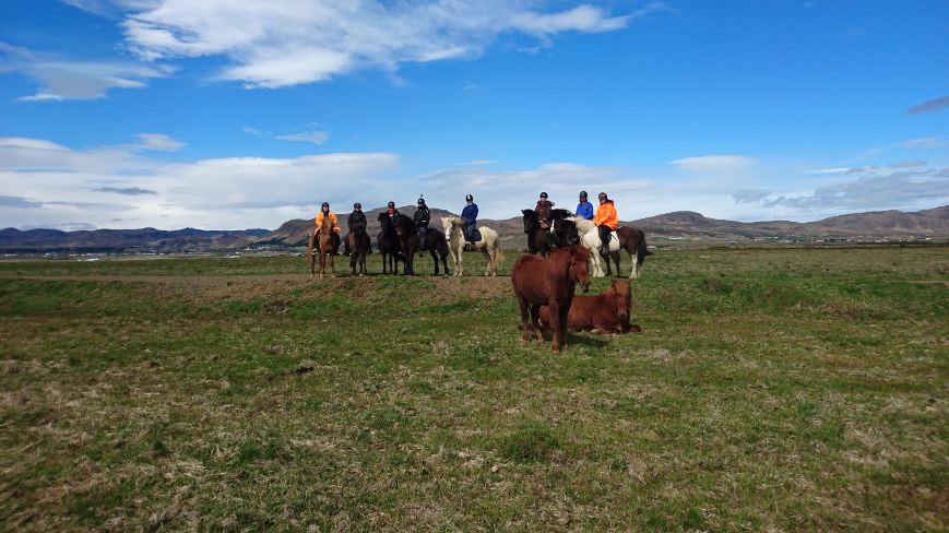 Group of people are on horseback riding tour.