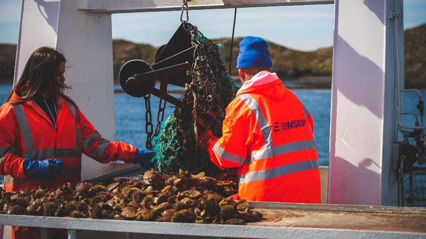 People are unloading fishing nests full of viking sushi ingredients