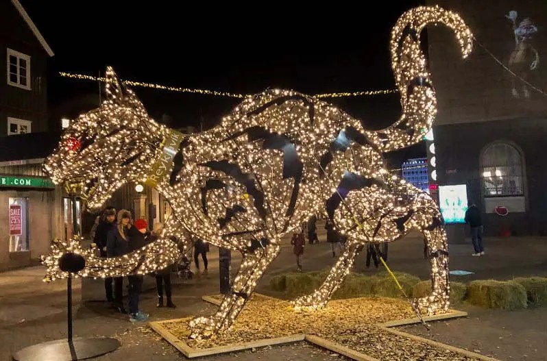 Icelandic Christmas cat decoration in Reykjavik, Christmas in Iceland