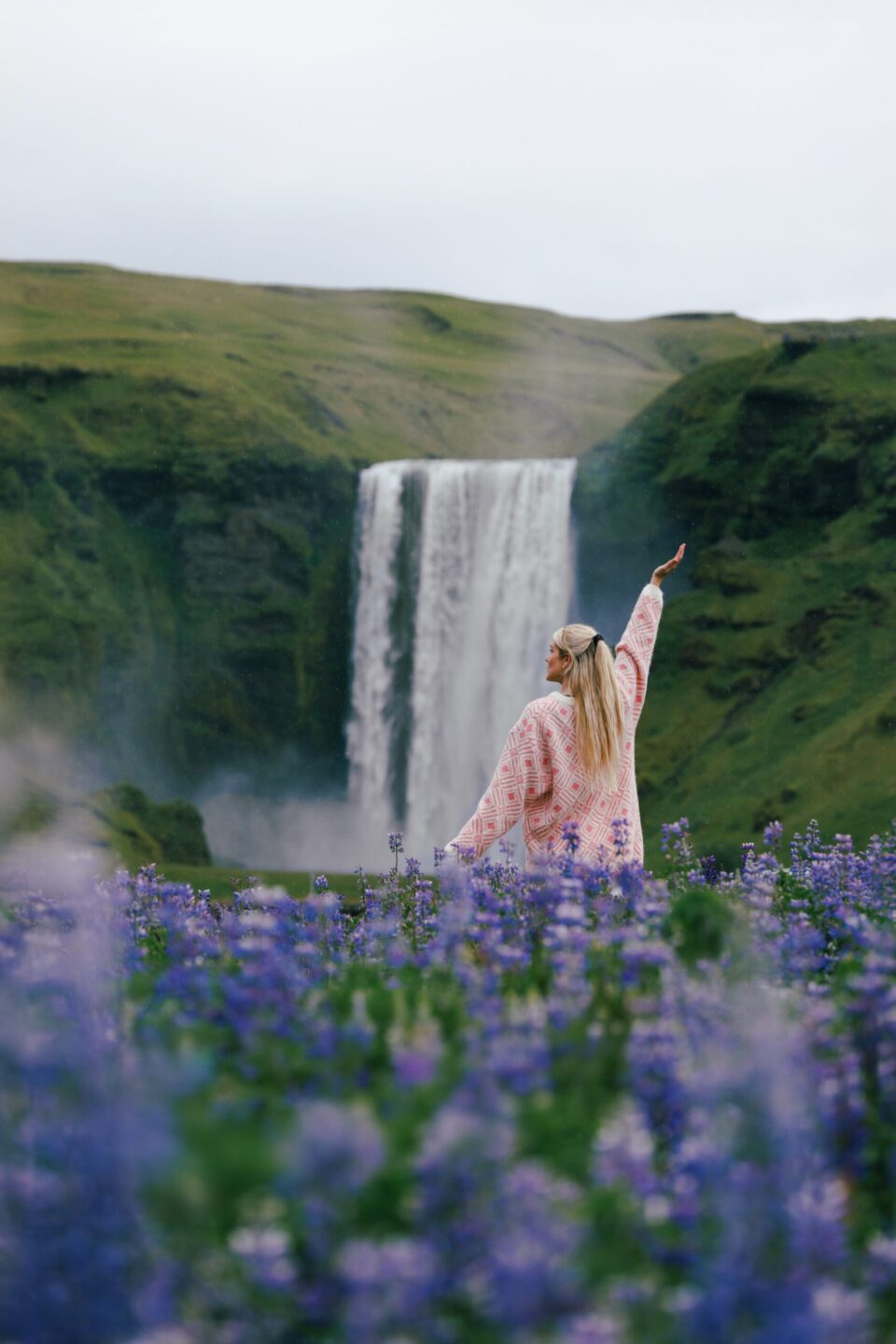 Woman standing in the violet lupin field in front of the waterfall
