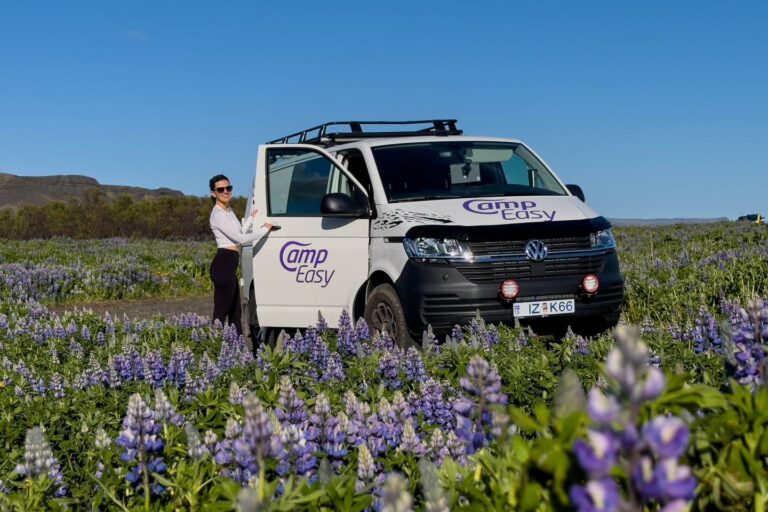 A woman stands by the open door of a parked campervan amidst a field of purple lupines.