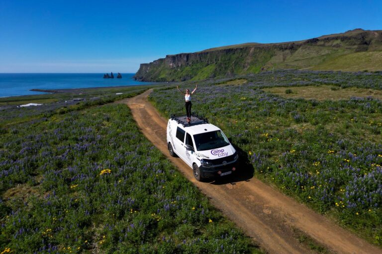 A woman standing on the roof rack of a camper van parked on a sandy road surrounded by a field of purple lupines and yellow flowers, with mountains and the ocean in the background.
