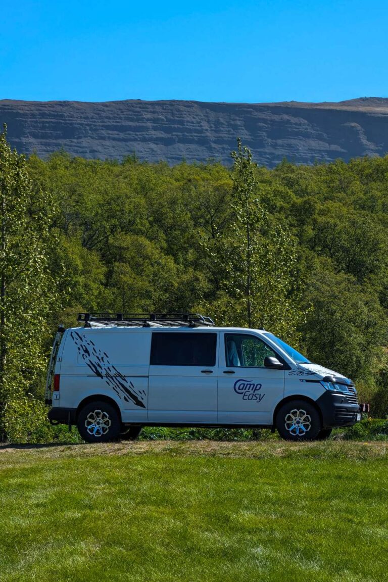 A campervan parked on the grass with a view of trees and mountains behind it.