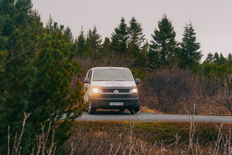 A campervan is parked on the road, surrounded by rough Icelandic flora and trees in the background.