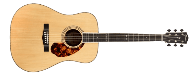 Acoustic guitar
