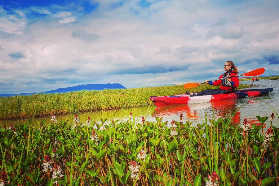 A person paddling a red kayak through calm waters surrounded by lush green vegetation and wildflowers, with a distant mountain visible under a partly cloudy sky.