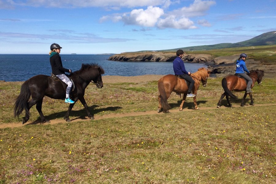 Three riders on Icelandic horses following a coastal trail, with the ocean and rugged cliffs visible in the background on a clear, sunny day.