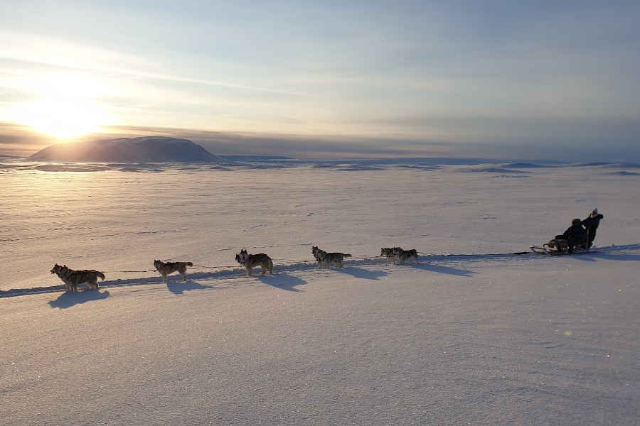 A team of sled dogs pulling a musher across a vast, snowy landscape during sunrise, with the sun casting long shadows across the snow and a distant mountain visible on the horizon.