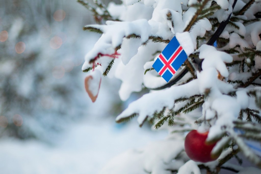 A snowy Christmas tree branch adorned with the Icelandic flag and festive decorations, capturing the essence of an Icelandic winter holiday.