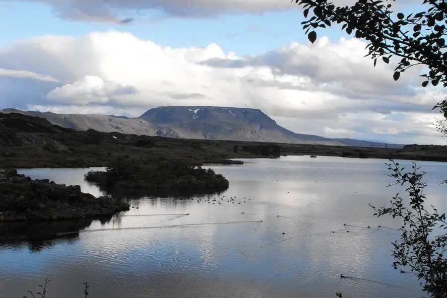 A serene view of Lake Mývatn, surrounded by calm waters, lush vegetation, and distant mountains under a partially overcast sky.