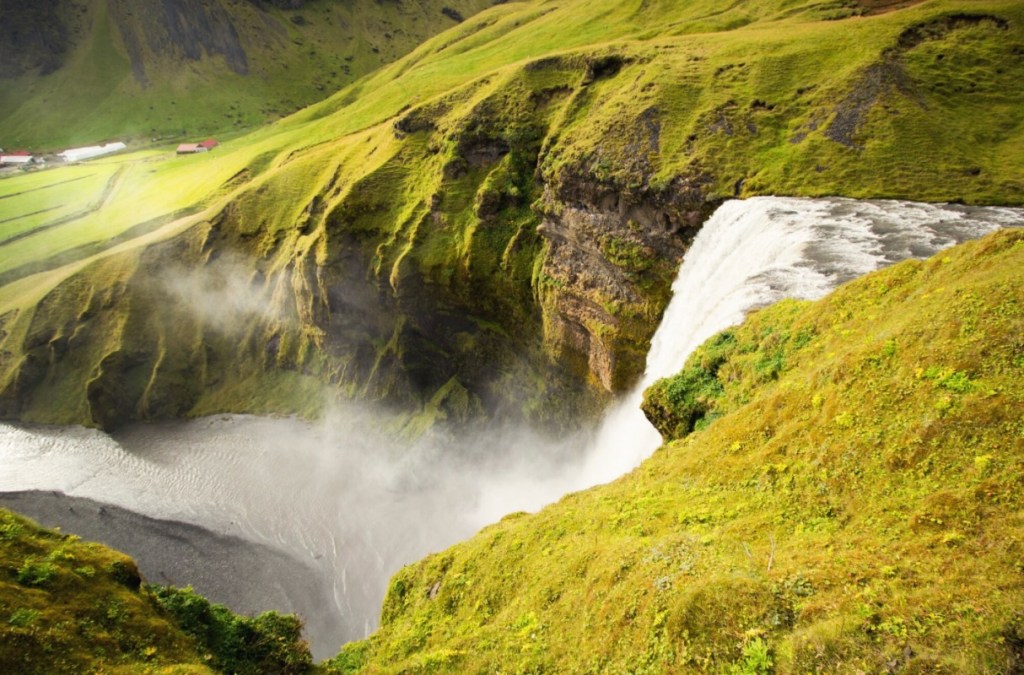 Nature and Wildlife in Iceland