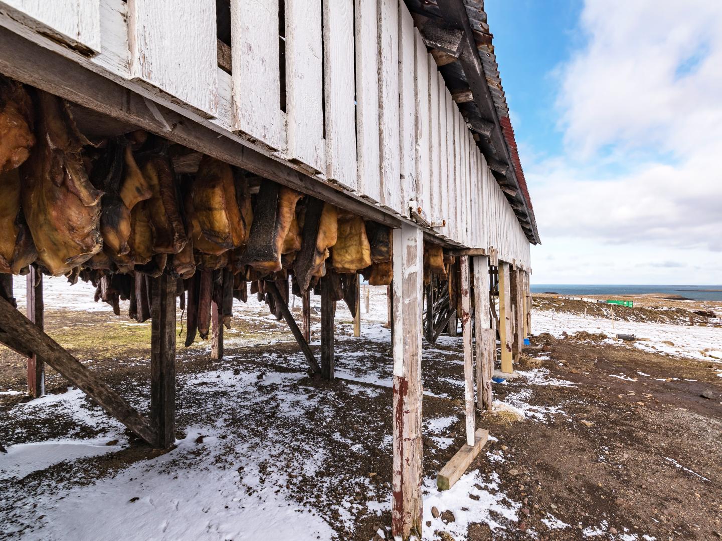 Traditional drying shed on stilts with fish or meat hanging underneath. Snow-dusted ground, clear blue sky, and distant sea create a cold, rural setting.