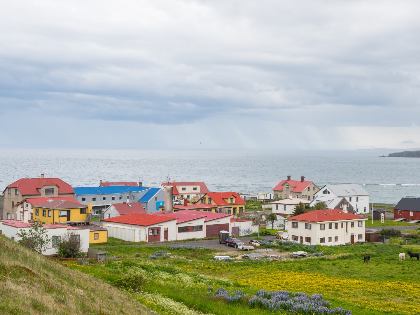 Coastal village scene with colorful houses featuring red, yellow, and blue roofs. The sea and a cloudy sky in the background convey a calm, serene atmosphere.