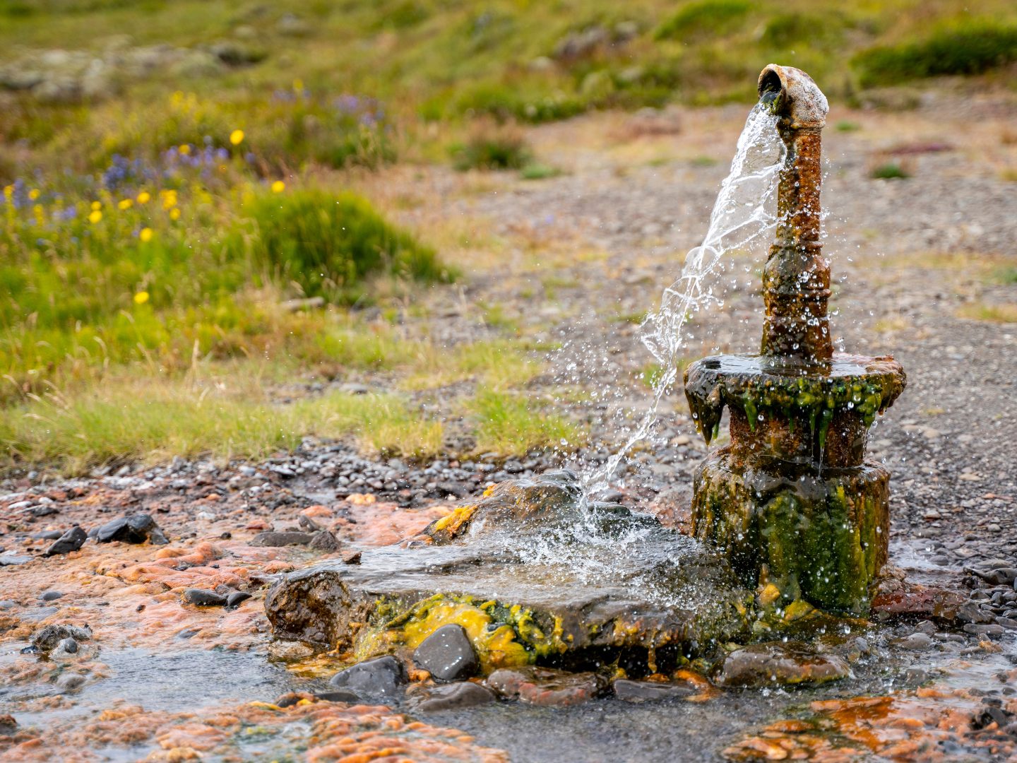 A rusty water pump in a grassy field gushes water, surrounded by wet stones and green moss. Bright wildflowers create a vibrant, natural scene.