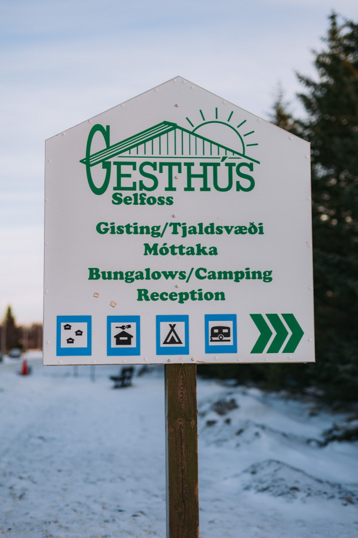 A white sign with green text reads "GESTHÚS Selfoss" and offers accommodation and camping info. Blue icons depict lodging, camping, and RVs. Snowy ground and evergreen trees are in the background.