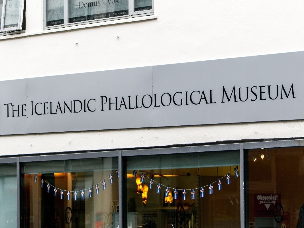 Exterior of The Icelandic Phallological Museum with a gray sign. Small Icelandic flags hang in the window, creating an intriguing and curious tone.