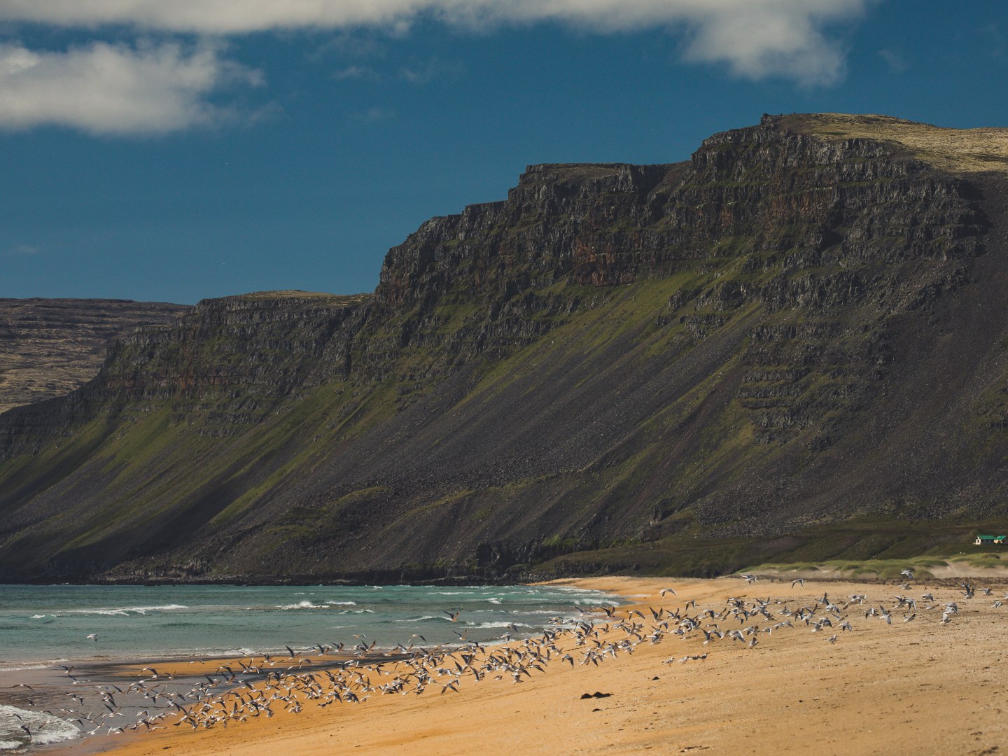Rocky cliffs tower over a sandy beach with turquoise waves. A flock of birds takes flight, creating a dynamic and serene coastal scene.
