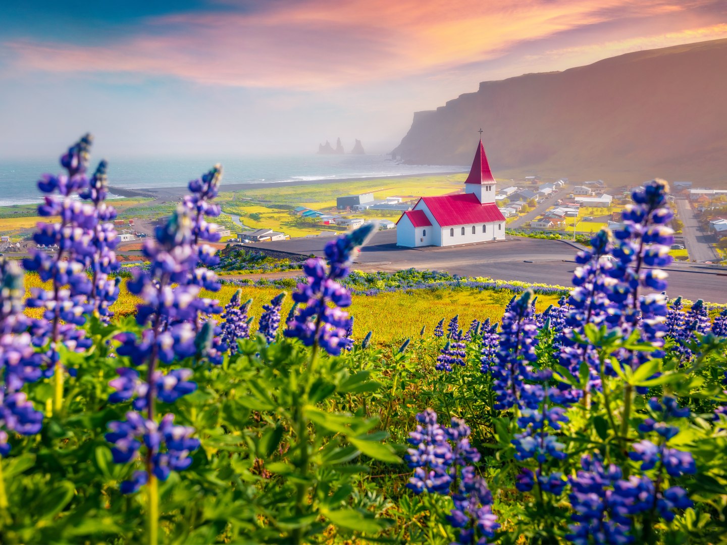 Landscape photography. Charming morning view of Vikurkirkja church with Reynisdrangar on background, Vik location. Perfect summer scene of Iceland with field of blooming lupine flowers.