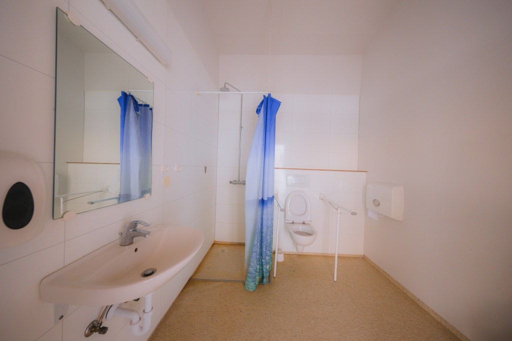 Accessible bathroom with a sink, mirror, open shower with a blue curtain, and a toilet with support bars.