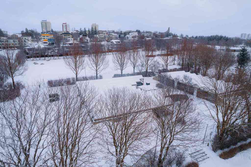Snow-covered park with bare trees and winding paths leading to a distant residential area.