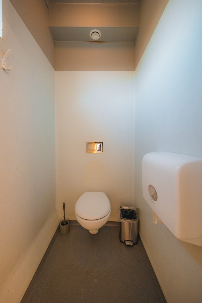 Minimalist bathroom with a wall-mounted toilet, silver flush panel, toilet brush, and waste bin.