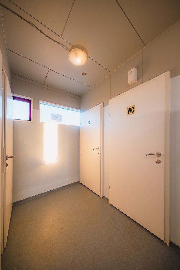 A hallway with two white restroom doors labeled "WC." Bright sunlight streams through a window.