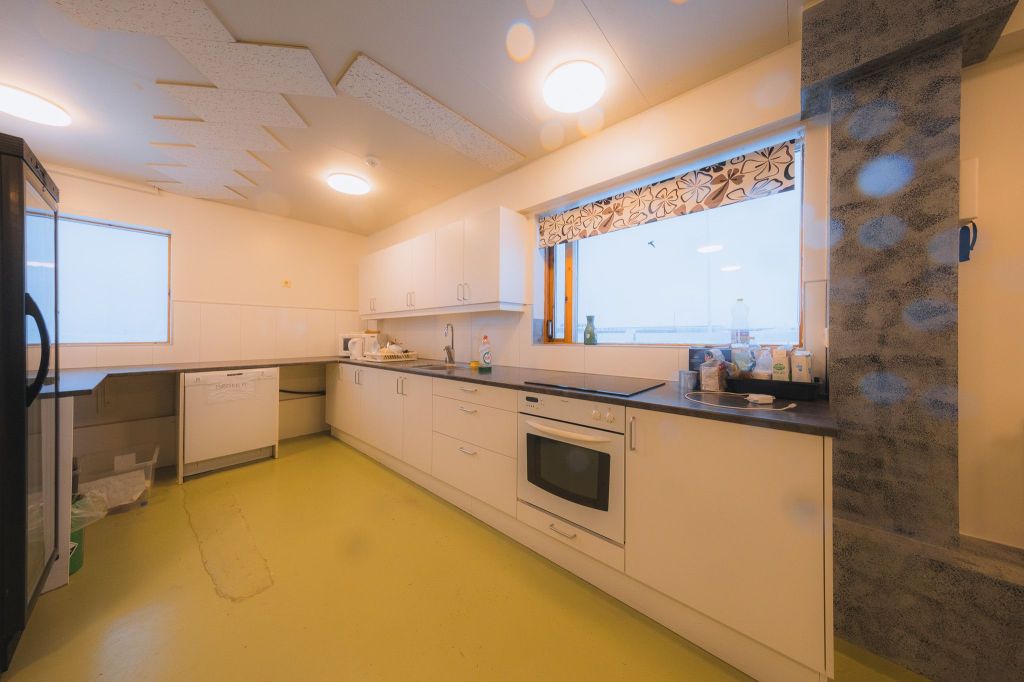 Modern kitchen with white cabinets, green floor, and large windows. Features an oven, dishwasher, and various kitchen items atop the counters.