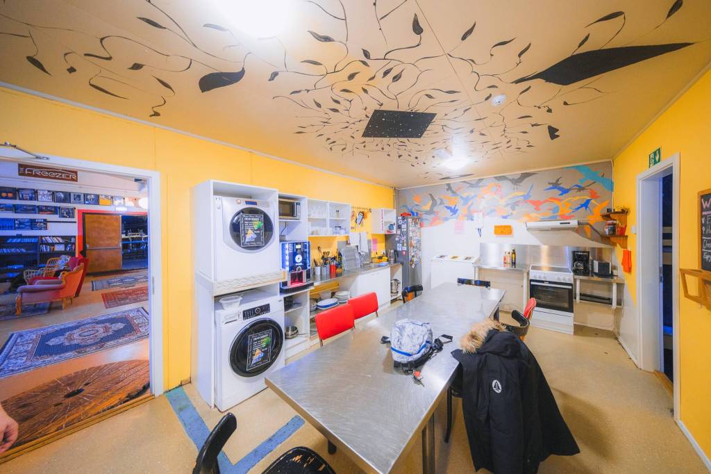 Bright kitchen with yellow walls, artistic ceiling, and bird mural. Features a metal table, red chairs, washer, and dryer.